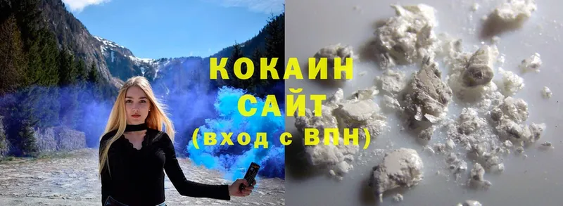 как найти закладки  Дмитровск  Кокаин Fish Scale 