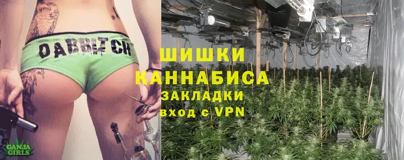 Конопля SATIVA & INDICA  Дмитровск 